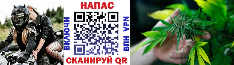 Каннабис Bruce Banner  Купить закладки  Крым 